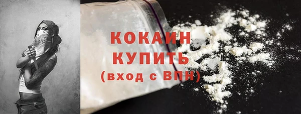 СК Елизово