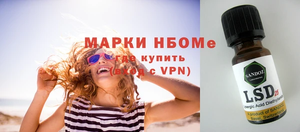 СК Елизово