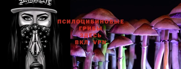 СК Елизово
