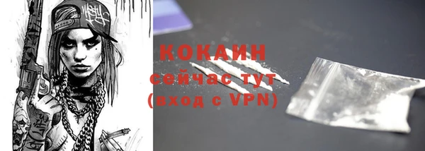 бошки Дмитриев