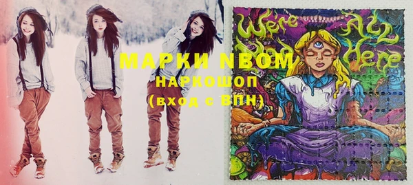 СК Елизово