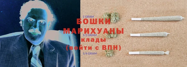 СК Елизово