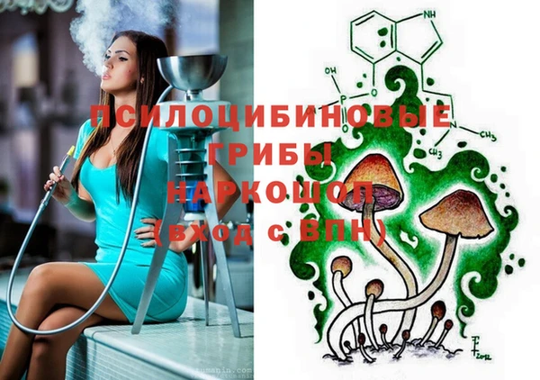 apvp Елабуга