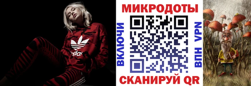 Галлюциногенные грибы Psilocybe  Заринск 