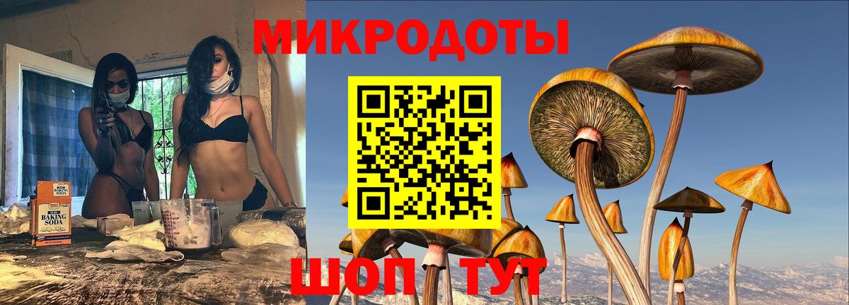 Псилоцибиновые грибы Psilocybine cubensis  Вход с VPN  Заринск 